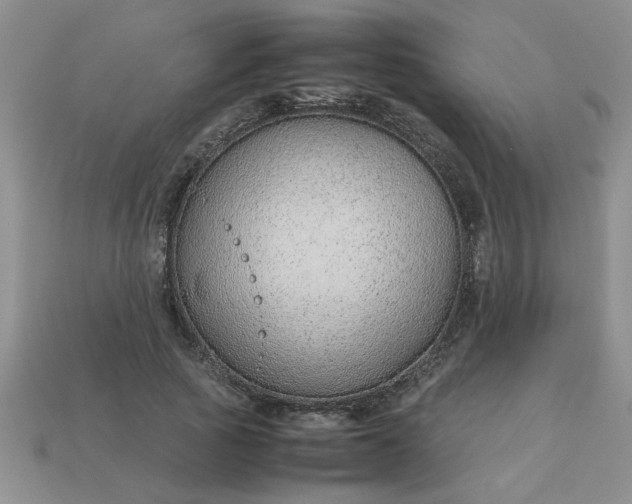 X0000113010737200909101817