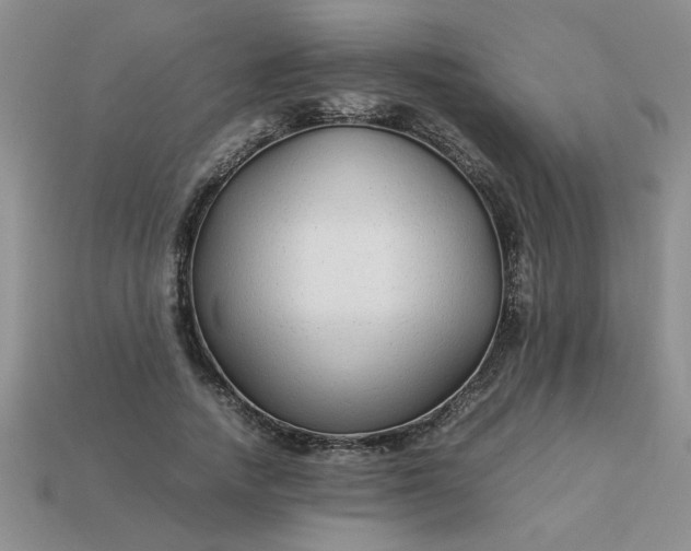 X0000113010738200909101817