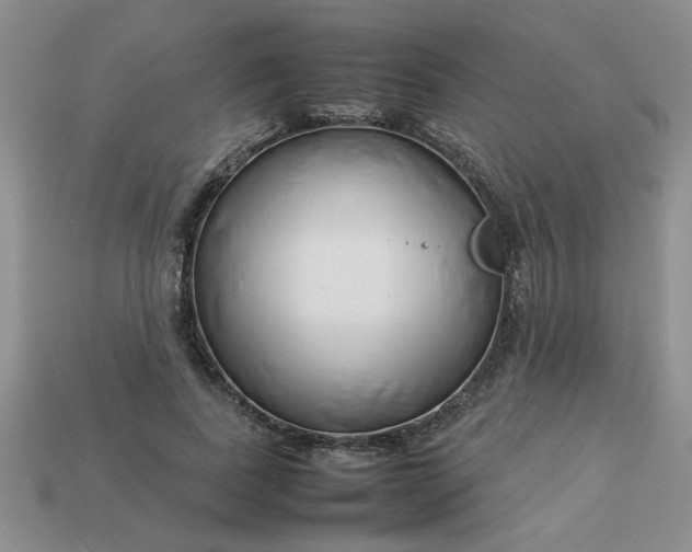 X0000113010739200909101817