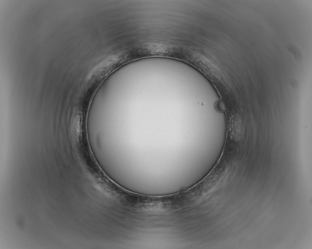 X0000113010740200909101817