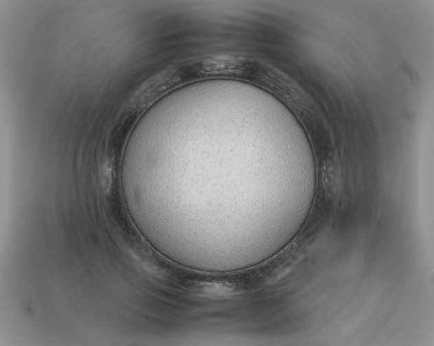 X0000113010741200909101817