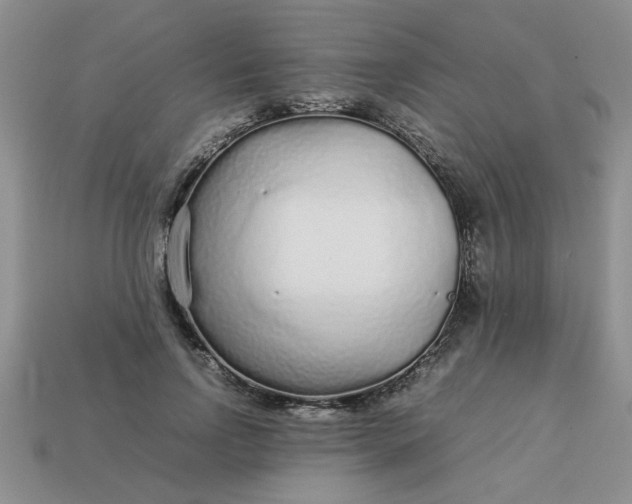 X0000113010742200909101817