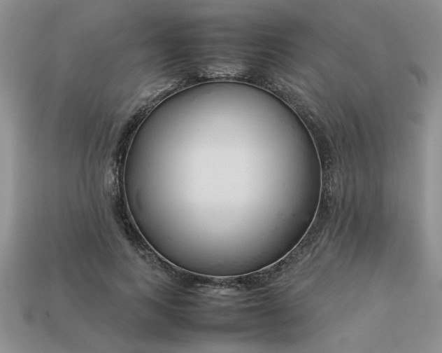 X0000113010743200909101817