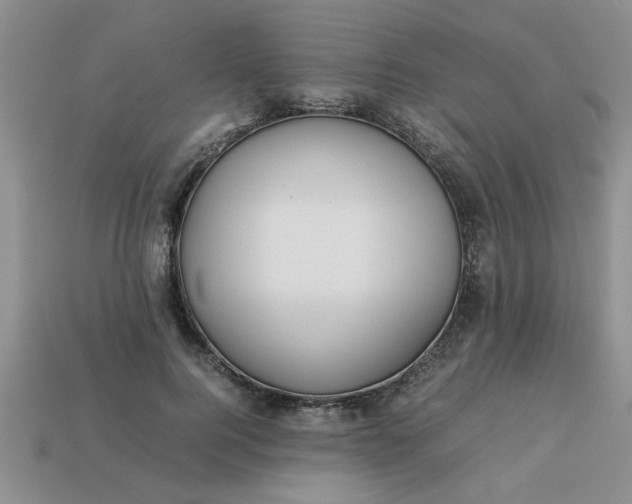 X0000113010744200909101817