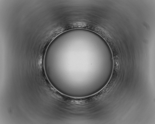 X0000113010745200909101817