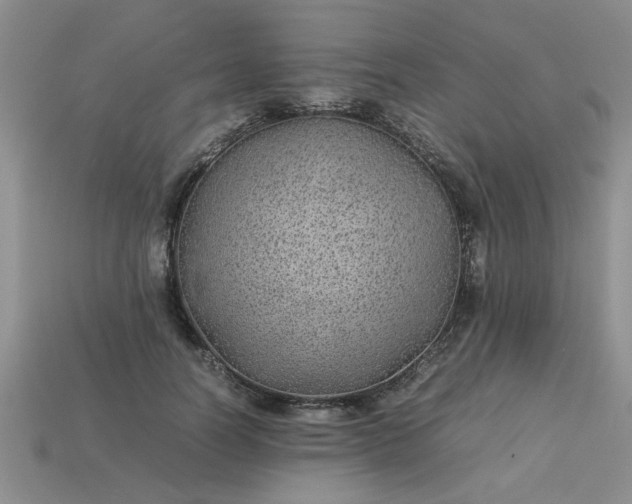 X0000113010746200909101817