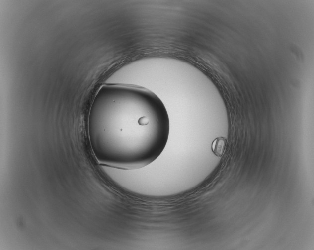 X0000113010748200909101817