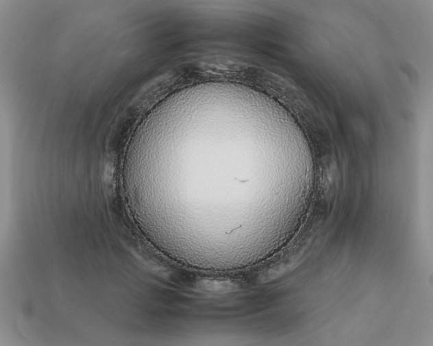 X0000113010749200909101817