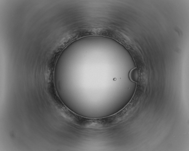 X0000113010750200909101817