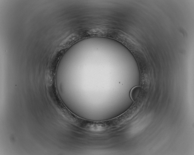 X0000113010751200909101817