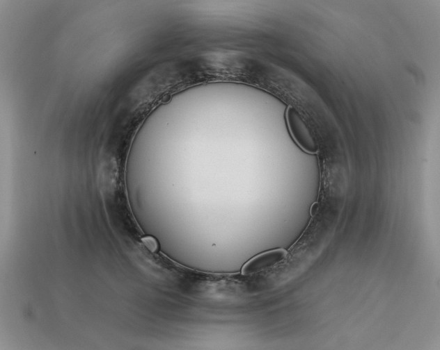 X0000113010752200909101817