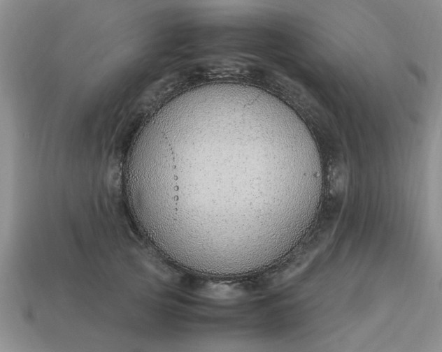 X0000113010753200909101817