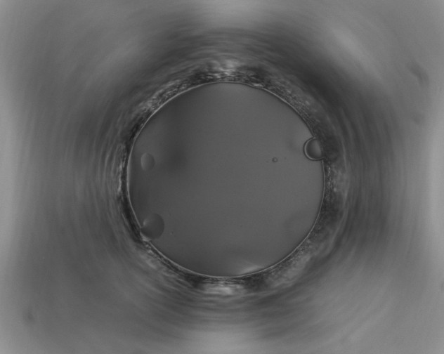 X0000113010754200909101817