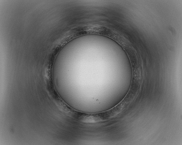 X0000113010755200909101817