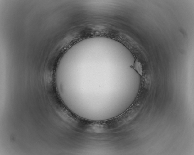 X0000113010756200909101817