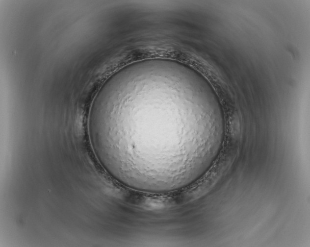 X0000113010757200909101817