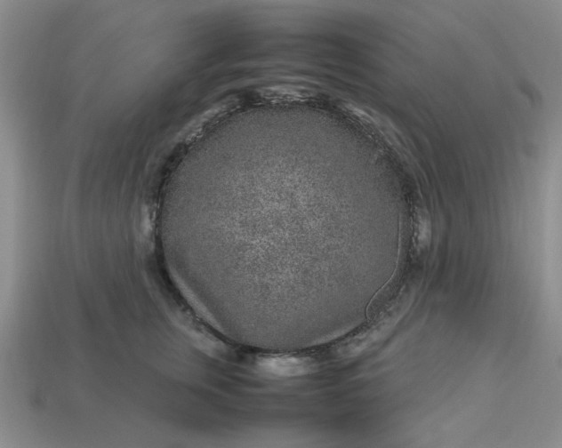 X0000113010759200909101817