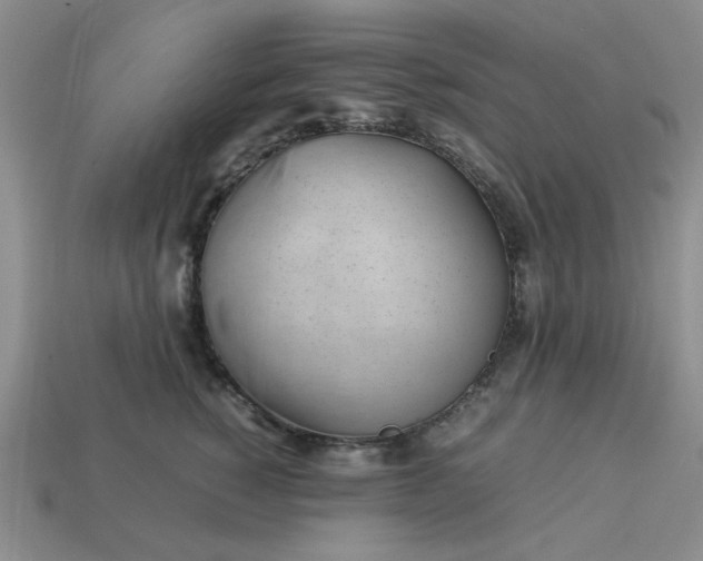 X0000113010760200909101817