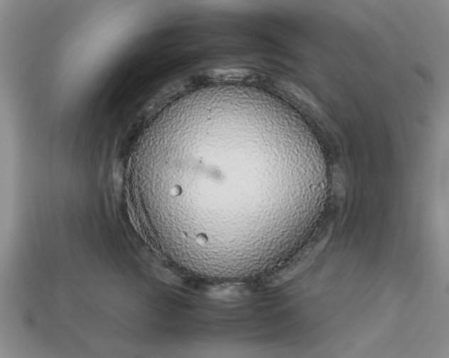 X0000113010761200909101817