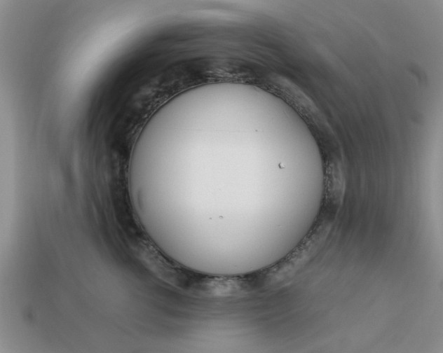 X0000113010762200909101817