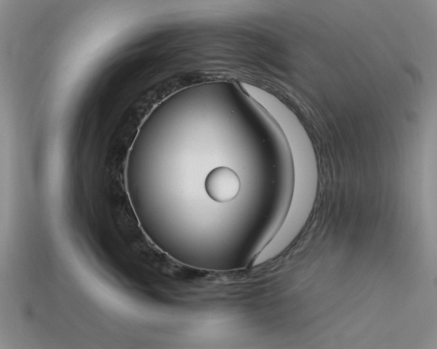 X0000113010764200909101817