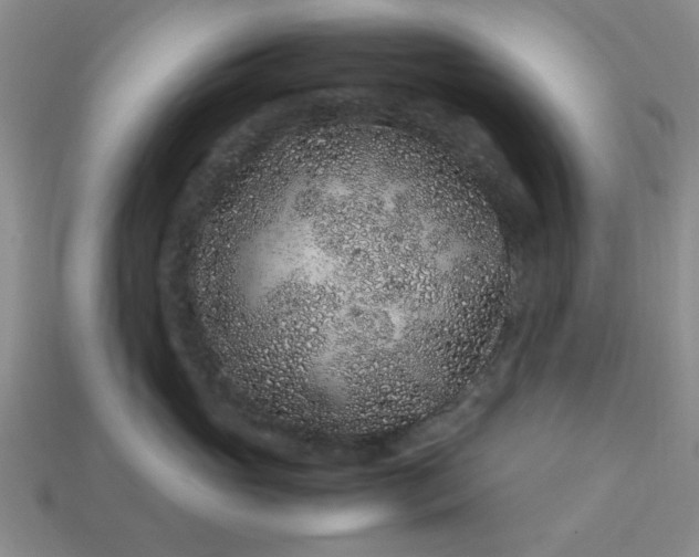 X0000113010765200909101817