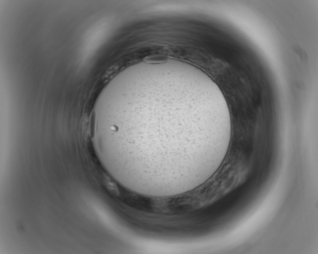 X0000113010766200909101817