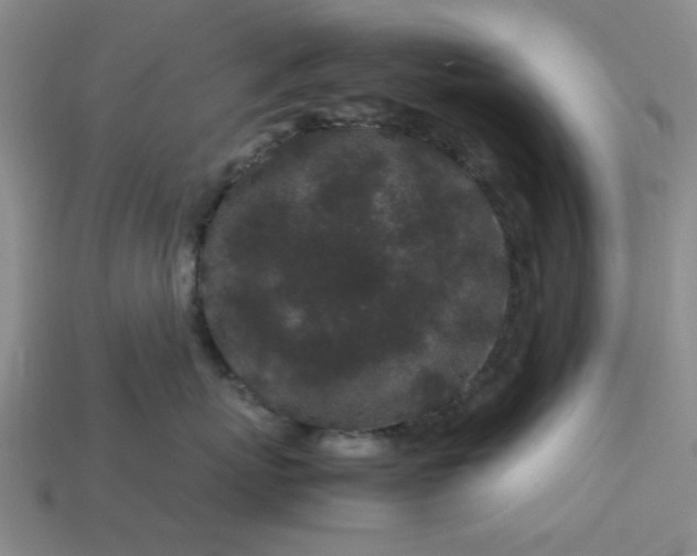 X0000113010767200909101817