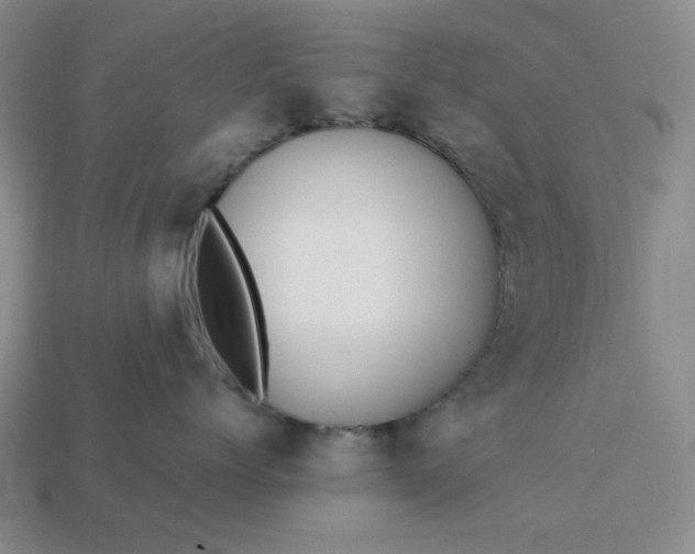 X0000113010768200909101817