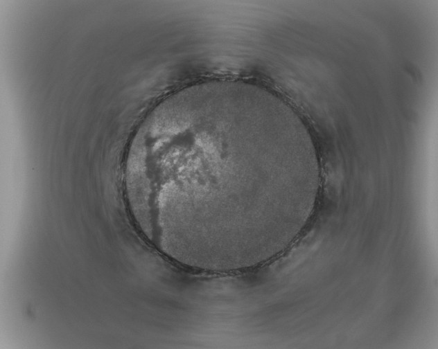 X0000113010769200909101816