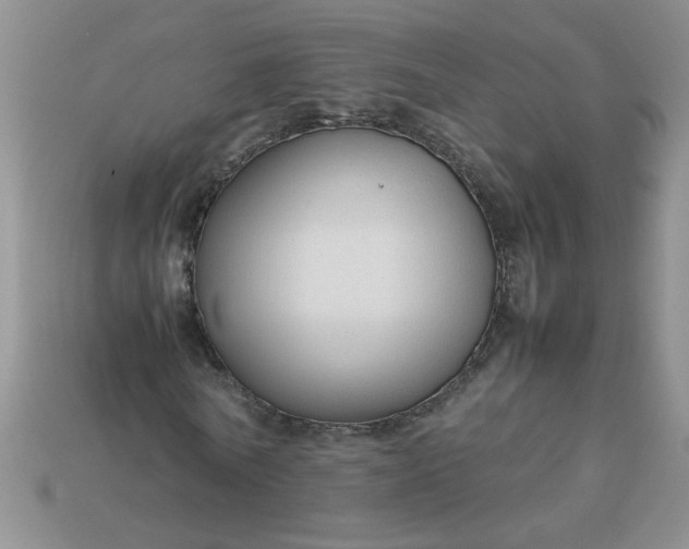 X0000113010770200909101816