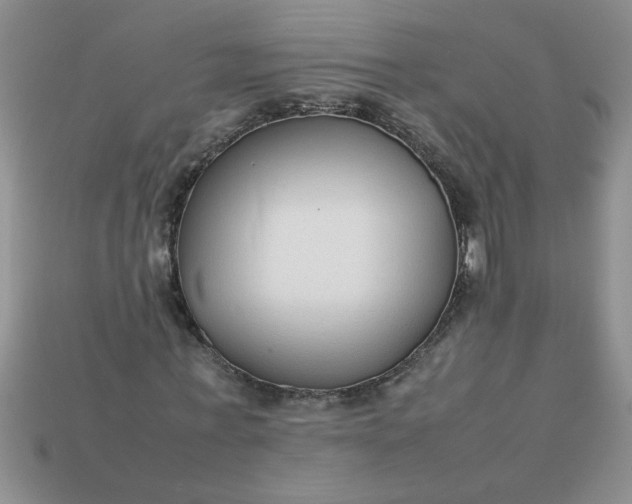 X0000113010771200909101816