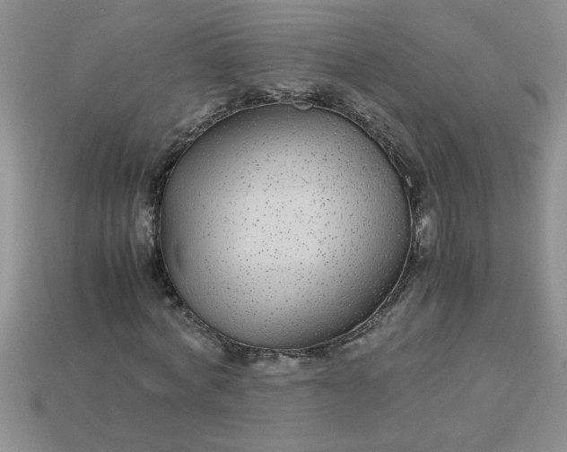 X0000113010772200909101816