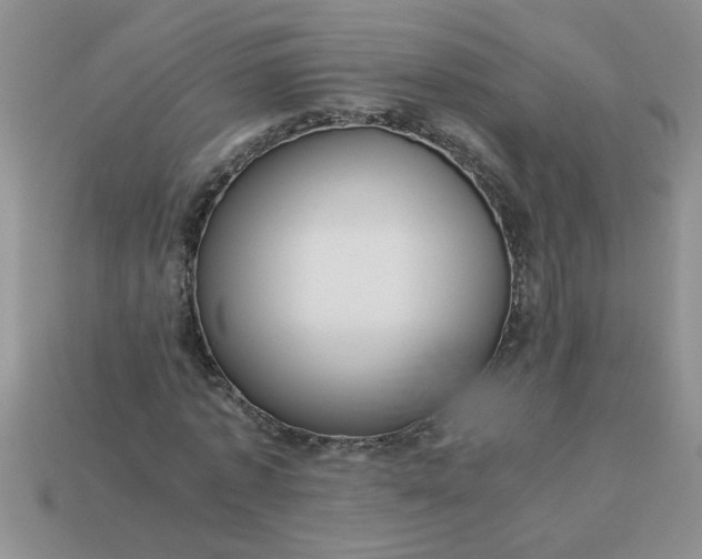 X0000113010773200909101816