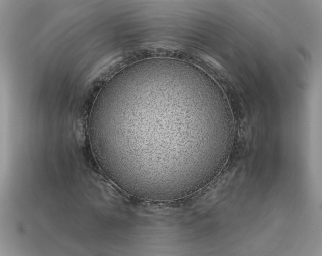 X0000113010774200909101816