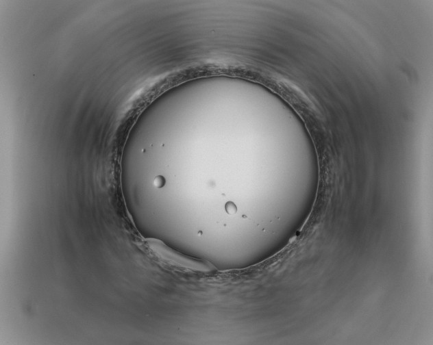 X0000113010776200909101816