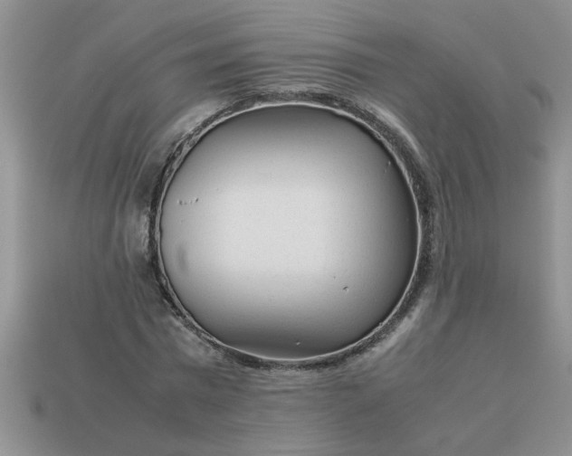 X0000113010777200909101816