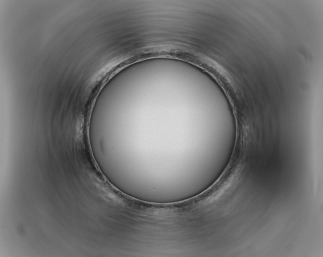 X0000113010778200909101816