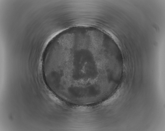 X0000113010779200909101816