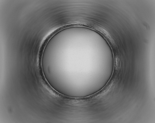 X0000113010780200909101816