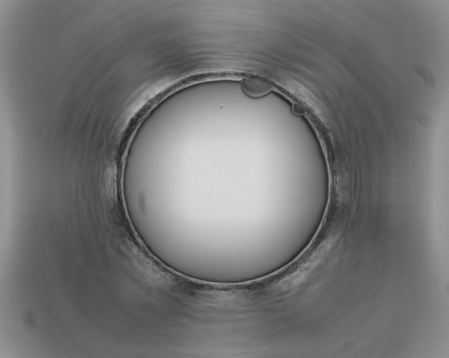 X0000113010781200909101816