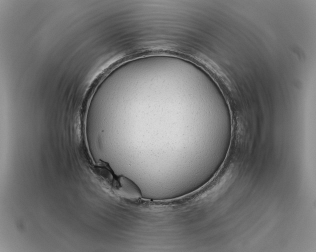 X0000113010782200909101816