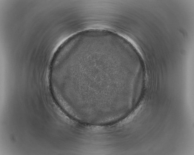 X0000113010783200909101816