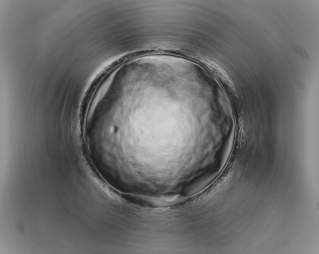 X0000113010784200909101816