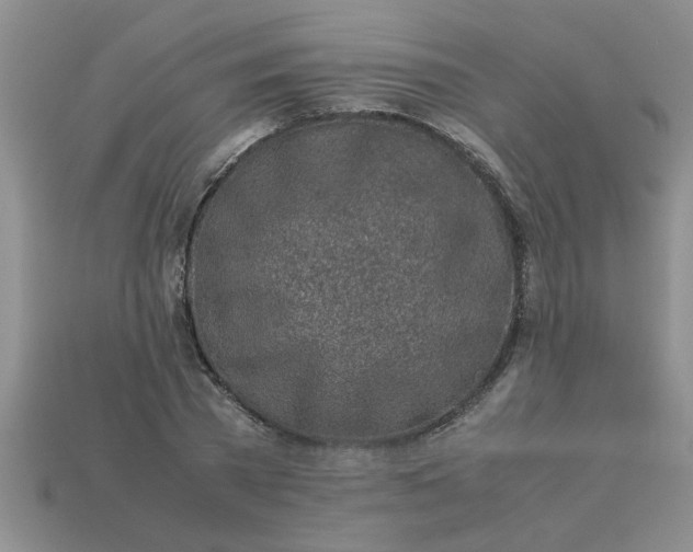 X0000113010785200909101816