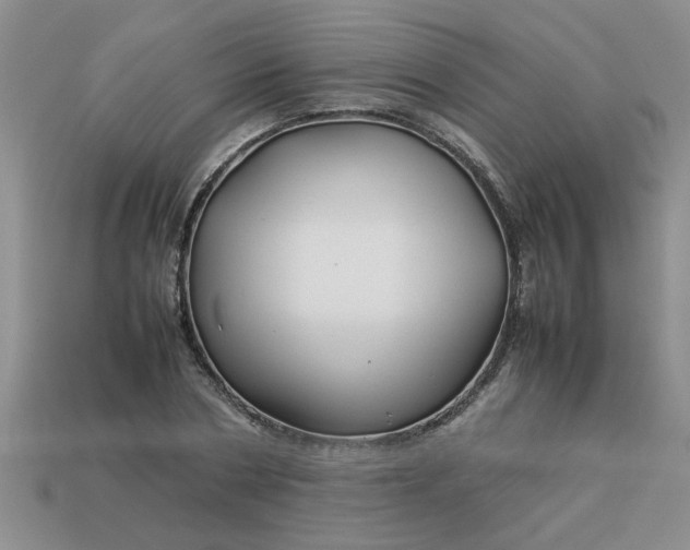 X0000113010786200909101816