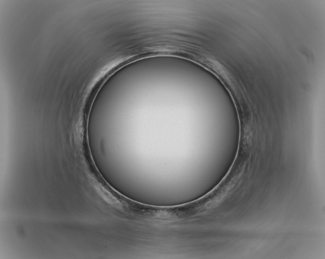 X0000113010787200909101816