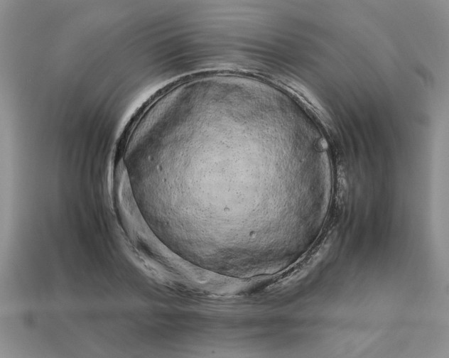 X0000113010788200909101816