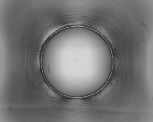 X0000113010789200909101816