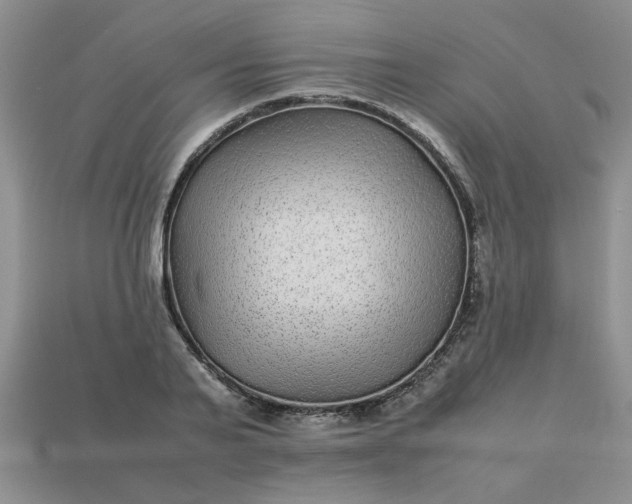 X0000113010791200909101816